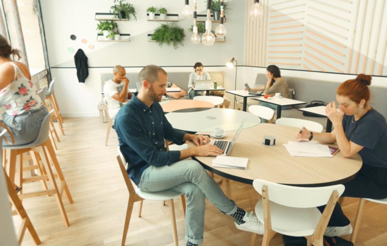 Digitale Lernumgebung für organisches Wachstum in Suchmaschinen